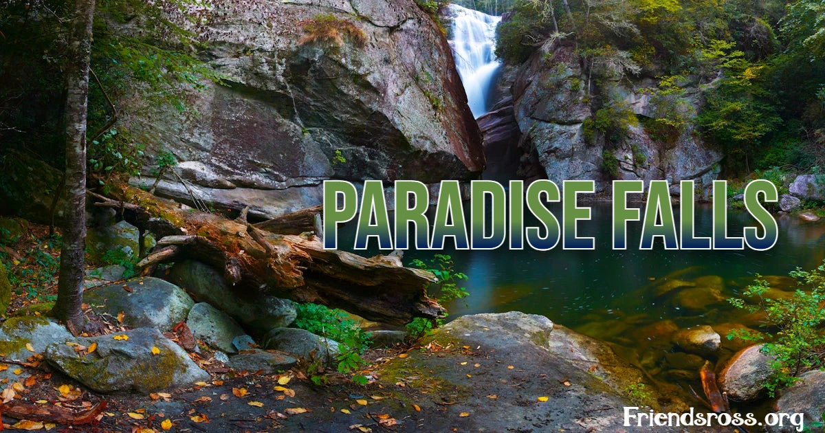 Paradise Falls: A Hidden Gem Worth Exploring