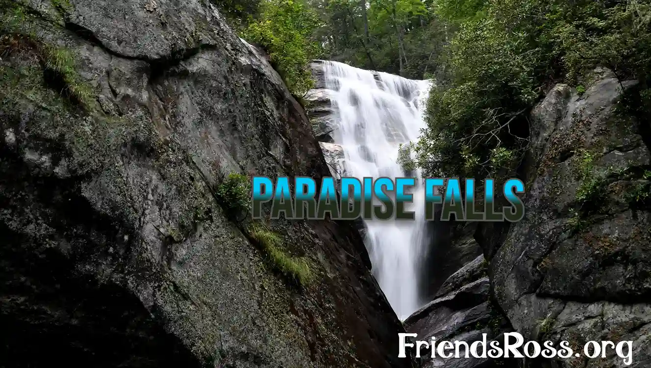 Planning Your Trip to Paradise Falls