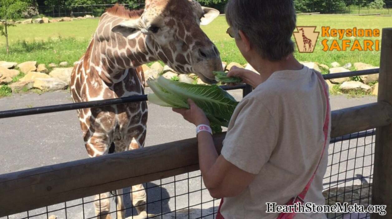 Unique Animal Encounters at Keystone Safari