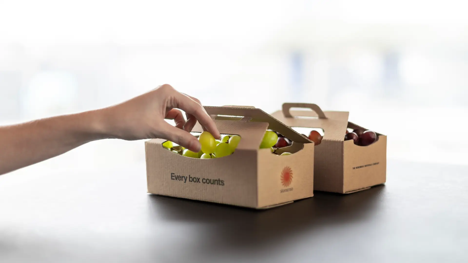 Why Your Fast Food Box Matters